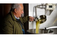 olio extra vergine biologico e olive taggiasche dalla Liguria